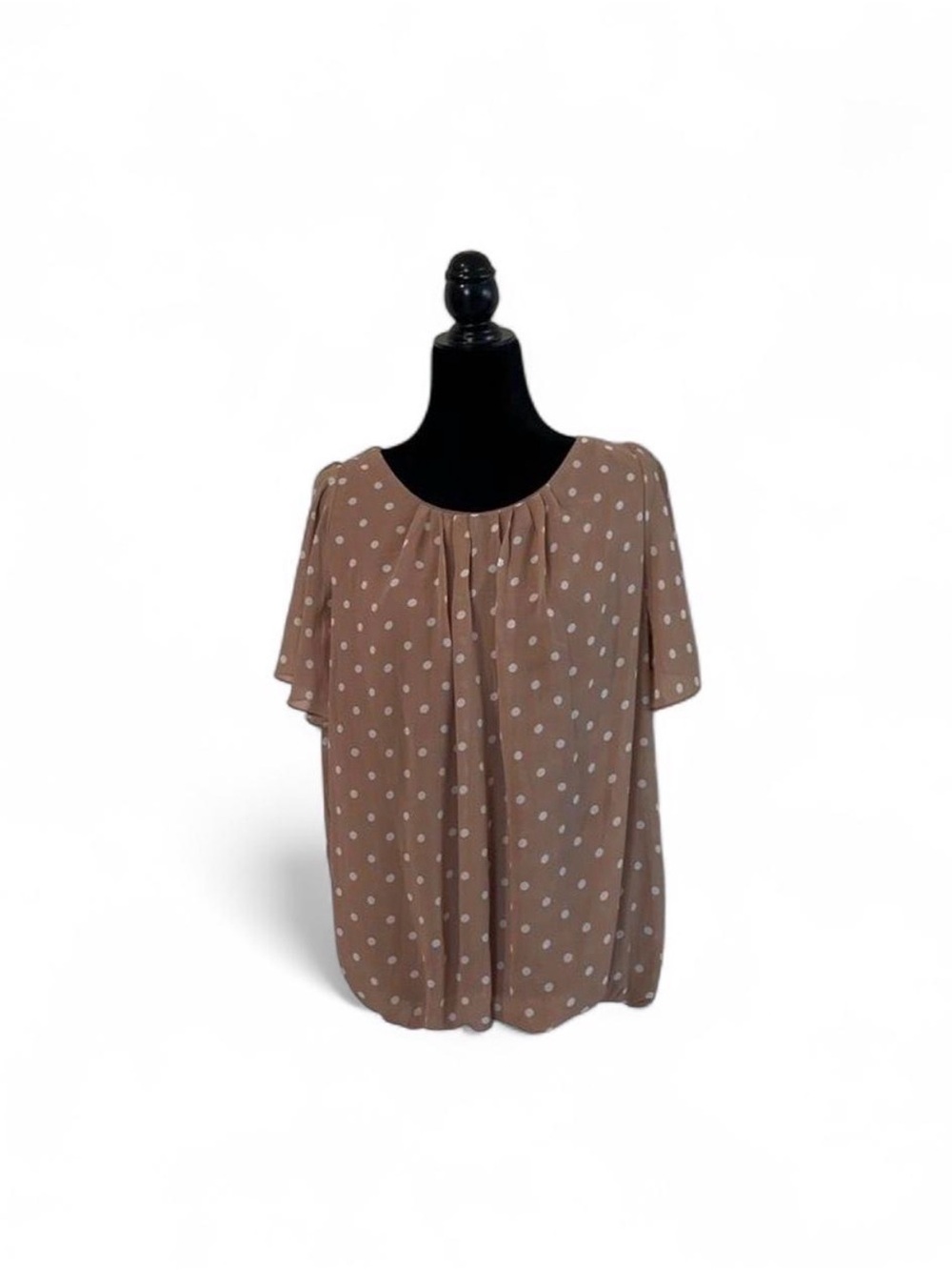 Zenobia Taupe Polka Dot Short Sleeve Blouse